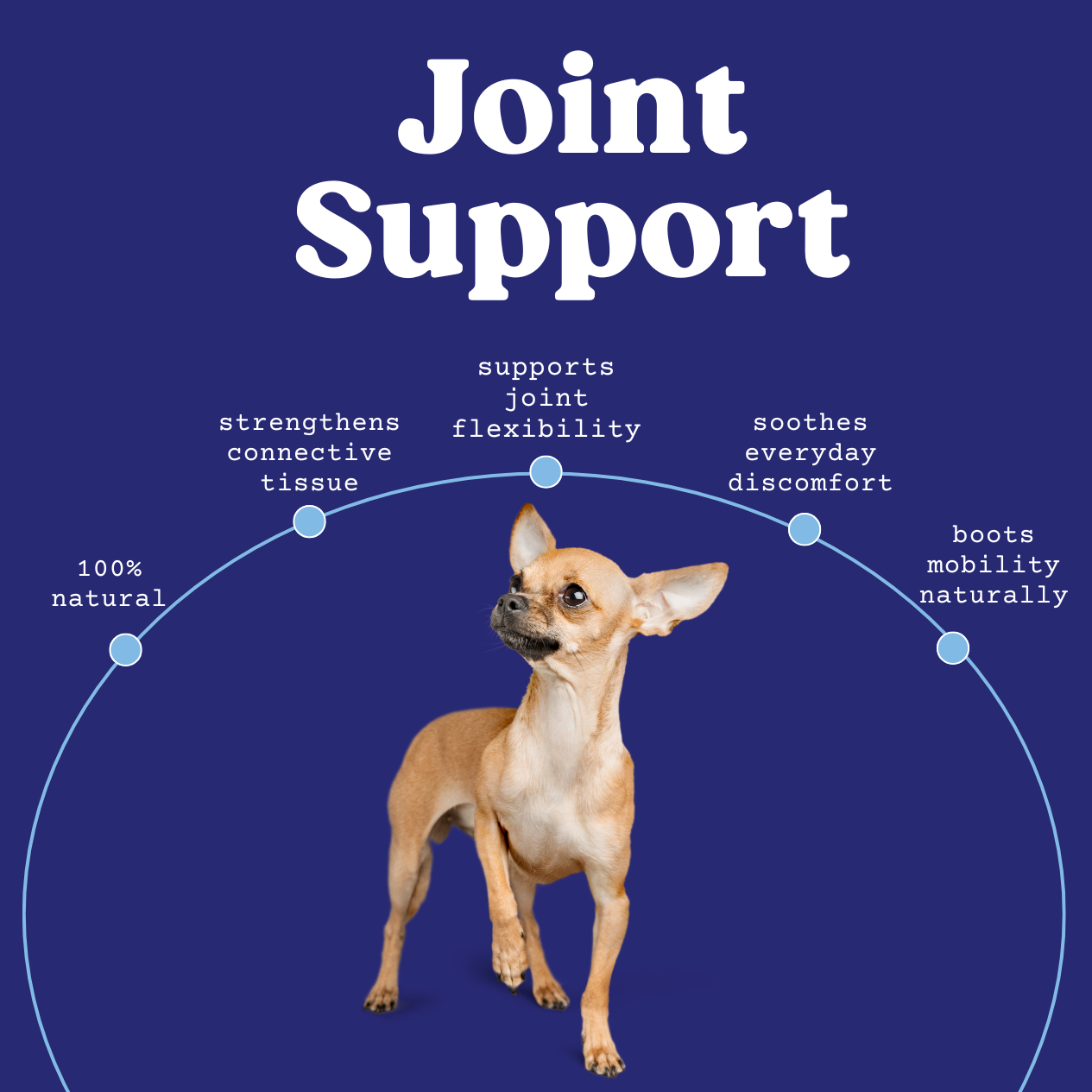 joint session