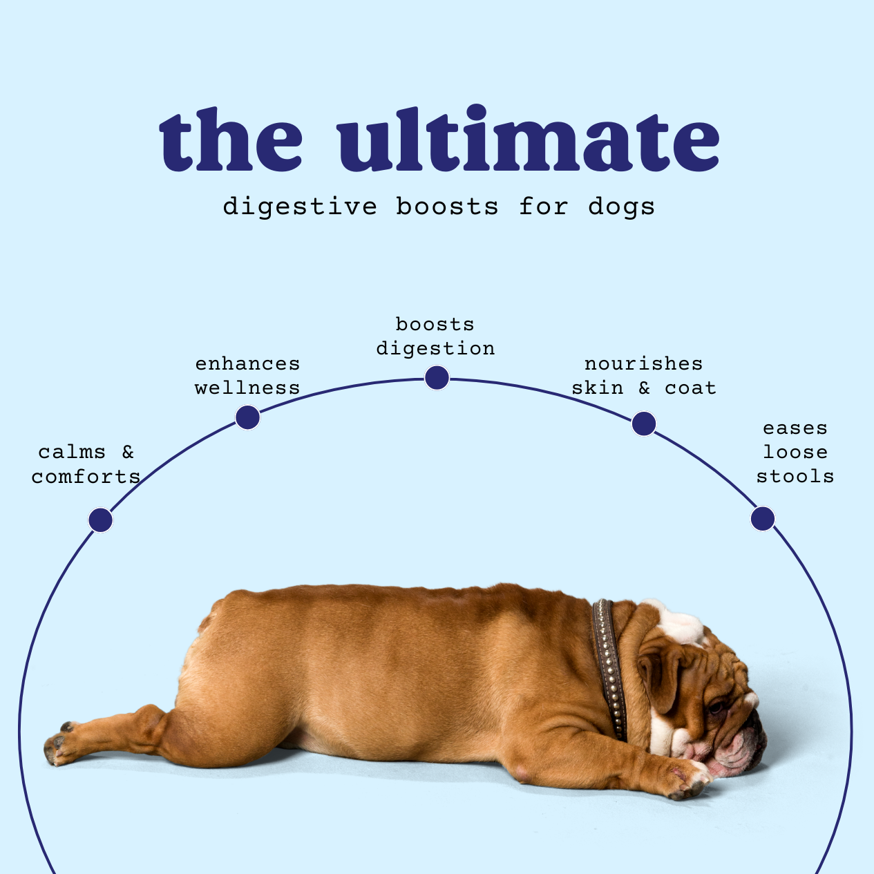 better belly